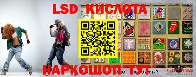 ПСИЛОЦИБИНОВЫЕ ГРИБЫ Заволжье