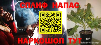 ПСИЛОЦИБИНОВЫЕ ГРИБЫ Заволжье