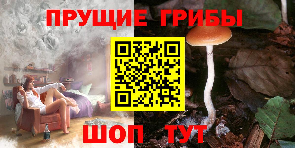 Галлюциногенные грибы Magic Shrooms  Вход с VPN  Шелехов  Псилоцибиновые грибы мицелий 